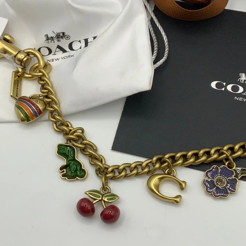 Coach bag extender chain with charms